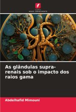 As glândulas supra-renais sob o impacto dos raios gama