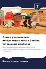 Deti w uchrezhdeniqh internatnogo tipa w Zambii, ustranenie probelow