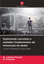 Explorando conceitos e métodos fundamentais de mineraç?o de dados