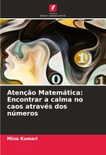 Atenç?o Matemática: Encontrar a calma no caos através dos números