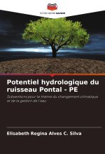 Potentiel hydrologique du ruisseau Pontal - PE