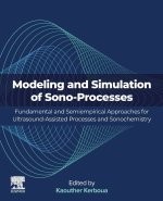 Modelling and Simulation of Sono-Processes