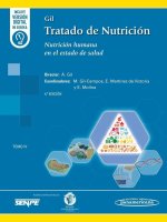 GIL. TRATADO DE NUTRICION. TOMO 4 NUTRICION HUMANA EN EL ESTADO D