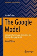 The Google Model