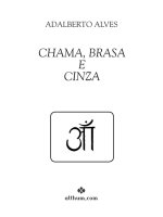 Chama, brasa e cinza