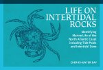 Life on Intertidal Rocks