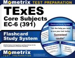 TExES Core Subjects Ec-6 (391) Flashcard Study System