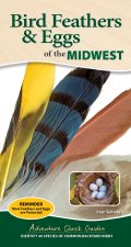 Bird Feathers & Eggs of the Midwest