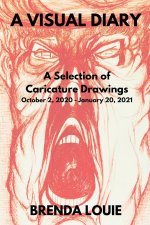 A Visual Diary