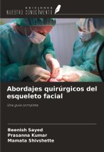 Abordajes quirúrgicos del esqueleto facial