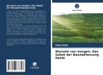 Wurzeln von morgen: Das Gebot der Baumpflanzung heute