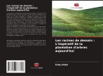 Les racines de demain : L'impératif de la plantation d'arbres aujourd'hui