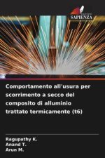 Comportamento all'usura per scorrimento a secco del composito di alluminio trattato termicamente (t6)