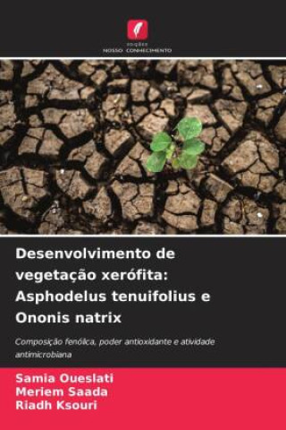 Desenvolvimento de vegetaç?o xerófita: Asphodelus tenuifolius e Ononis natrix