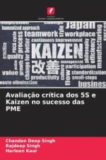 Avaliaç?o crítica dos 5S e Kaizen no sucesso das PME