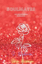 Soulmates - A Paranormal Romance