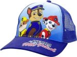 baseballcap - PAW Team