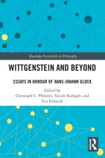 Wittgenstein and Beyond