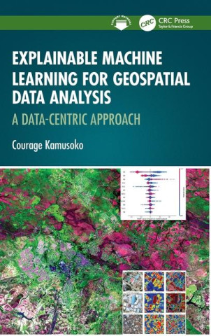 Explainable Machine Learning for Geospatial Data Analysis