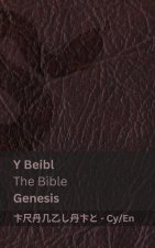 Y Beibl / The Bible (Genesis)
