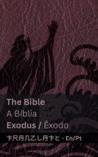 The Bible (Exodus) / A Bíblia (?xodo)