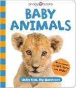 Little Kids Big Questions Baby Animals