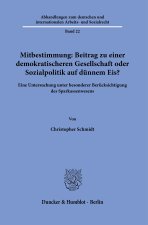Mitbestimmung: Beitrag zu einer demokratischeren Gesellschaft oder Sozialpolitik auf dünnem Eis?