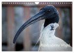 Australiens Vögel (Wandkalender 2025 DIN A4 quer), CALVENDO Monatskalender