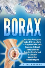 Borax: Durch Borax Pulver gesund werden, Arthrose, Arthritis + Osteoporose heilen sowie Schmerzen, Krebs und Candida bekämpfen! Basisches Heilmittel a