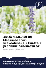 JeKOFIZIOLOGIYa Mesosphaerum suaveolens (L.) Kuntze w uslowiqh solenosti ot