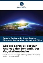 Google Earth-Bilder zur Analyse der Dynamik der Vegetationsdecke