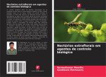 Nectários extraflorais em agentes de controlo biológico