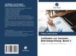 Leitfaden zur Sozialen Betriebsprüfung: Band 3