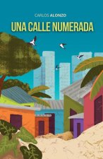 Una calle numerada