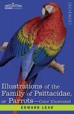 Illustrations of the Family of Psittacidae