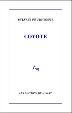 Coyote