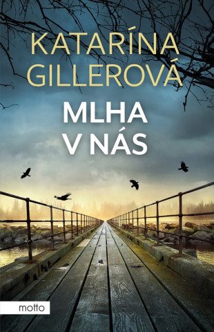 Mlha v nďż˝s