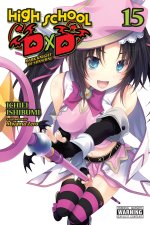 HIGH SCHOOL DXD V15 LN