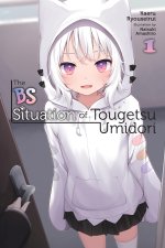 BS SITUATION OF TOUGETSU UMIDORI V01 LN