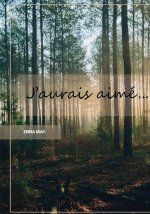 J'aurais aimé...
