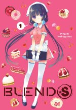 BLEND S V01