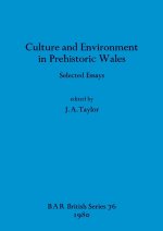 Culture and Environment in Prehistoric Wales