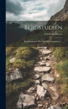 Bergstudien: Een Omgang In Het Land Der Dolomieten ...