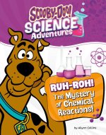 Ruh-Roh! the Mystery of Chemical Reactions!