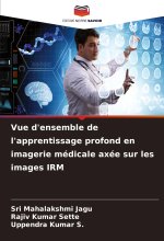 Vue d'ensemble de l'apprentissage profond en imagerie médicale axée sur les images IRM