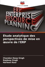 Étude analytique des perspectives de mise en ?uvre de l'ERP