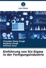 Einführung von Six-Sigma in der Fertigungsindustrie
