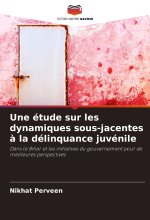 Une étude sur les dynamiques sous-jacentes ? la délinquance juvénile