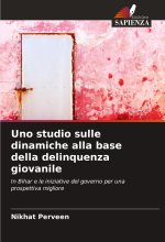 Uno studio sulle dinamiche alla base della delinquenza giovanile