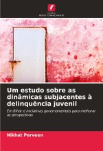 Um estudo sobre as dinâmicas subjacentes ? delinqu?ncia juvenil